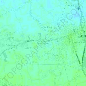 Topografisk karta Salomague, höjd, relief