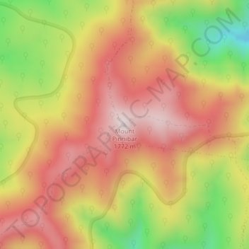 Topografisk karta Mount Pinnibar, höjd, relief