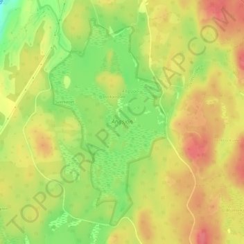 Topografisk karta Angsjön, höjd, relief
